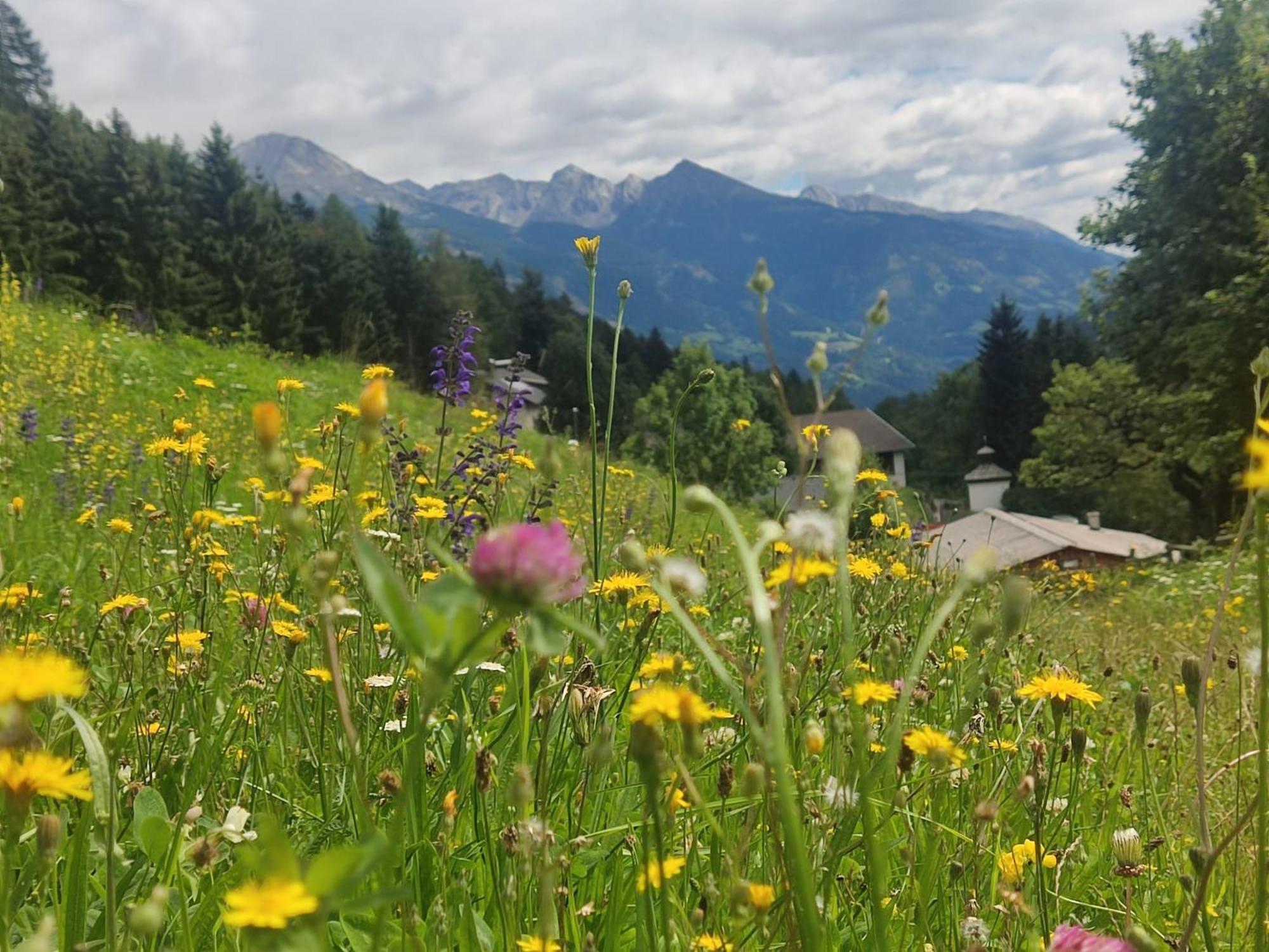 Appartement Waldhof Flattach Dış mekan fotoğraf